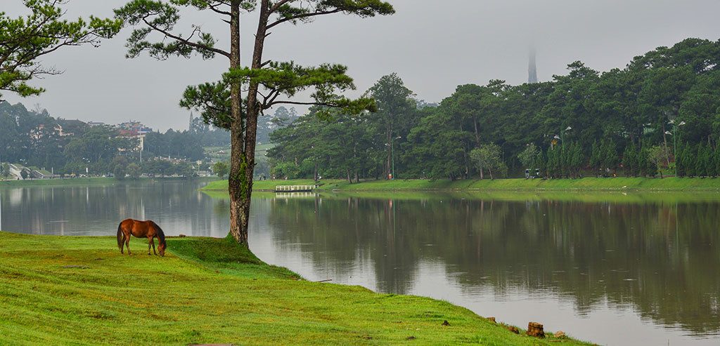 Tuần trăng mật tại đà lạt