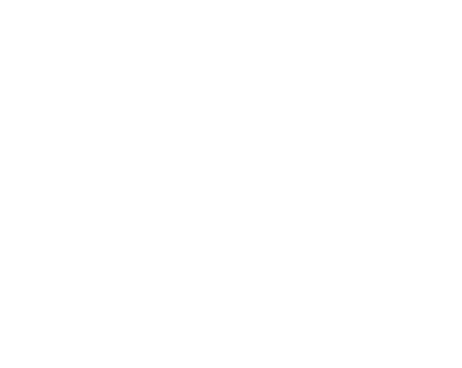 Nicole Bridal logo